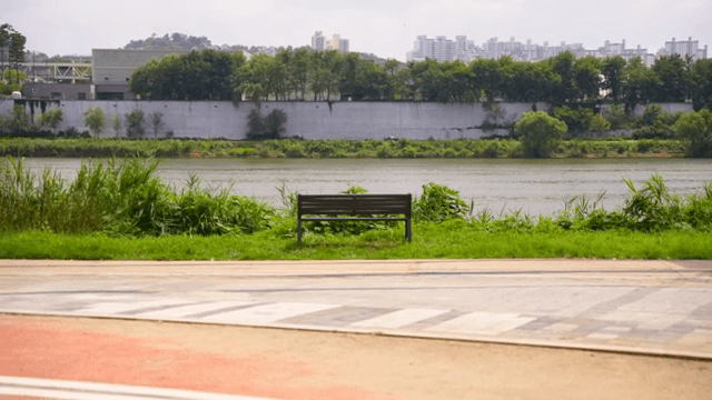 Peaceful riverside with a bench