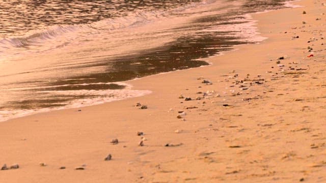 Serene beach shoreline with gentle waves in the evening