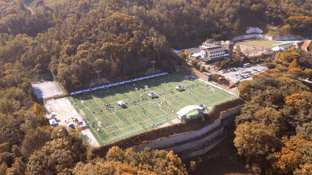 Aerial view of a sports field surrounded by forest