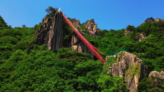 푸른 나무가 울창한 산에 있는 붉은 계단과 전망대
