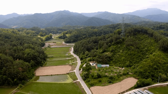 푸른 들판과 구불구불한 도로