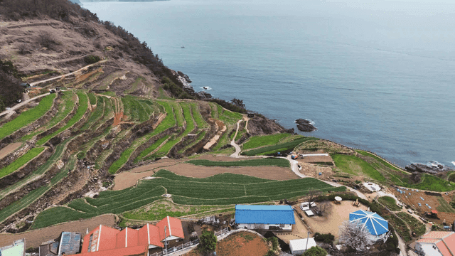 바다 옆 계단식 논과 마을