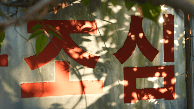 나뭇잎 그림자가 드리워진 조심 경고 표지판