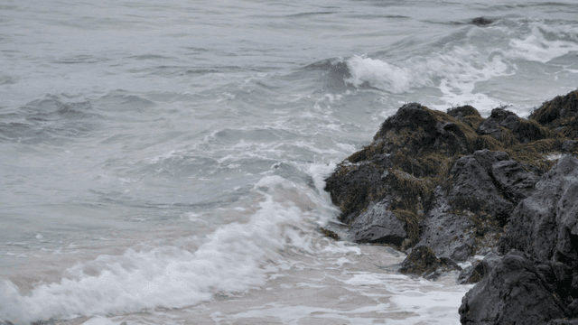 Waves crashing on rocky shore