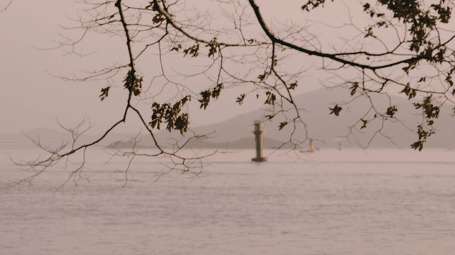Lighthouse visible beyond tree branches