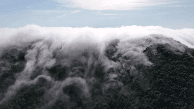 Clouds rolling over a lush green mountain