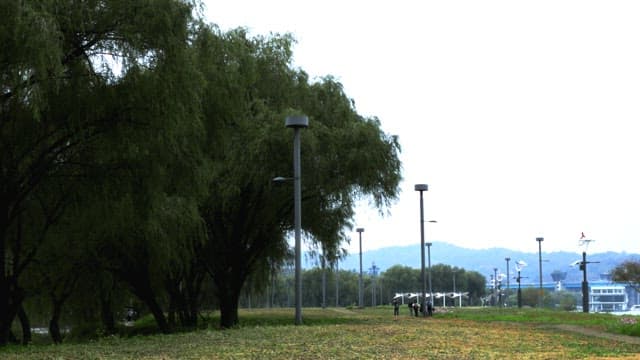 사람과 버드나무가 있는 평화로운 공원