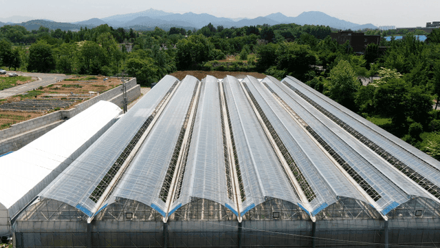Large greenhouses in a rural landscape