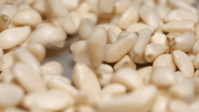 Close-up of pouring peeled garlic