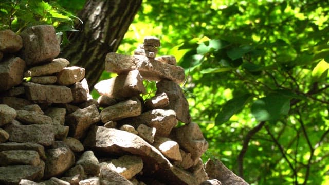 Stones piled up in a forest bathed in sunlight to make a wish