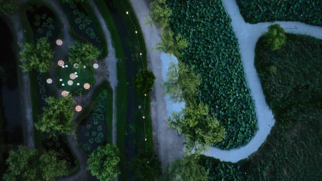 Aerial view of a lush green park with trees