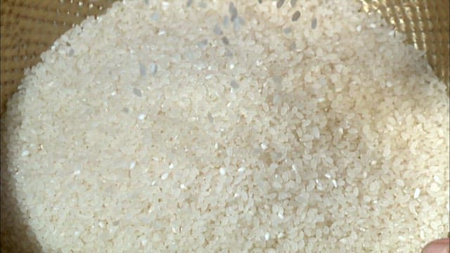 Close-up of rice grains falling in slow motion