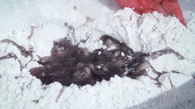 두 손으로 전분과 물을 섞는 장면