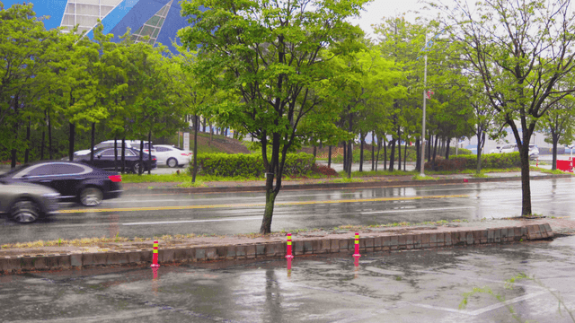 Cars passing on a rainy road