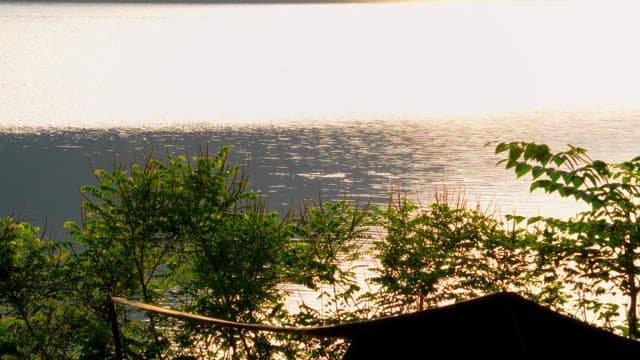 Serene lakeside scenery glowing in the sunlight