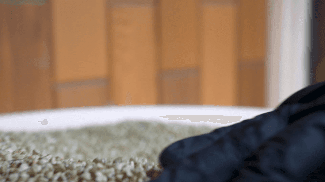 Gloved hands arranging peeled buckwheat