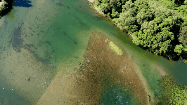 Aerial view of a clear river and lush greenery