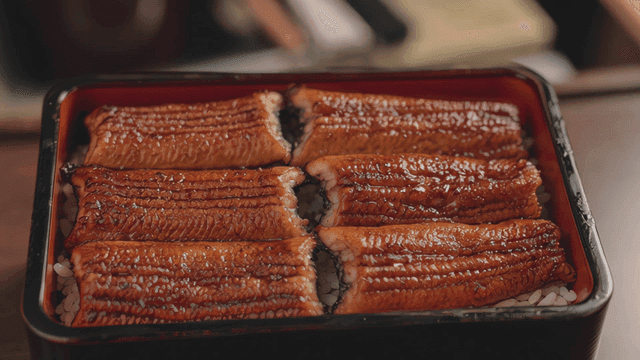 Grilled eel on rice in a lacquered box