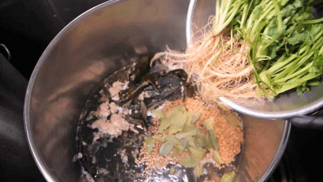 Coriander roots added to kelp broth