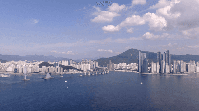 Coastal city with bridge and skyscrapers