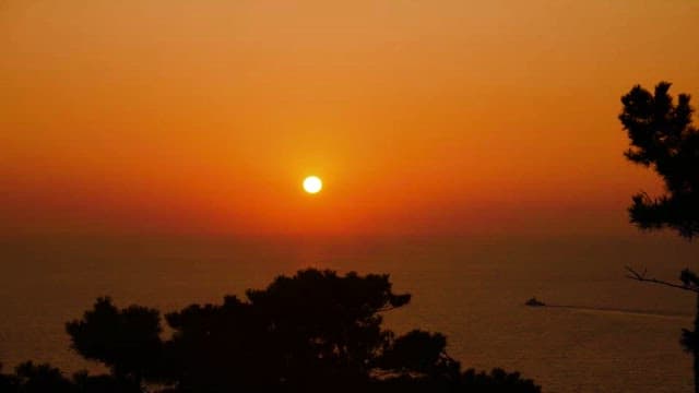 Serene Sunset over the Ocean with Trees