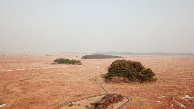 드문드문 나무가 있는 광활하고 고요한 황야