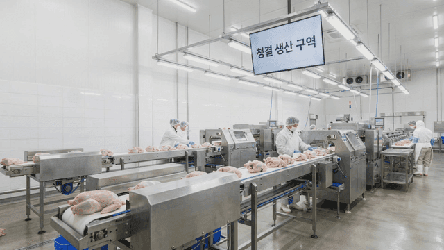 Workers processing chicken in clean factory