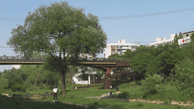 Park with bridges and city buildings