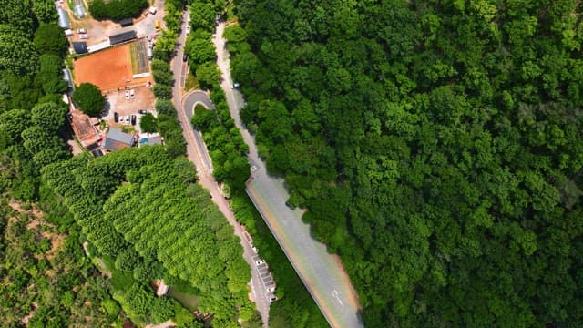 Aerial view of green forest and farmland