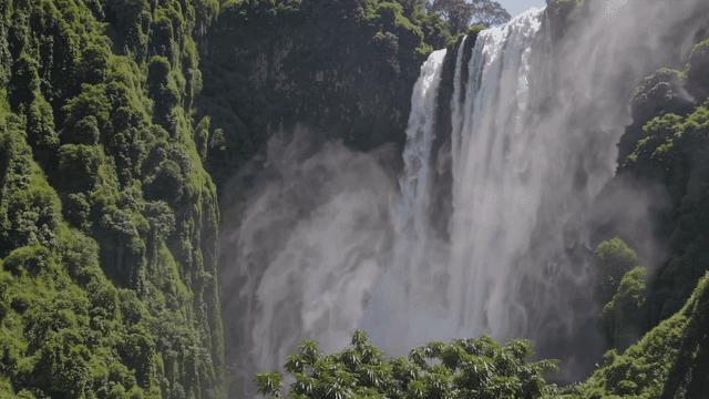 Majestic waterfall surrounded by lush forest