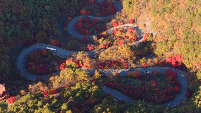 가을 숲을 지나는 굽은 도로