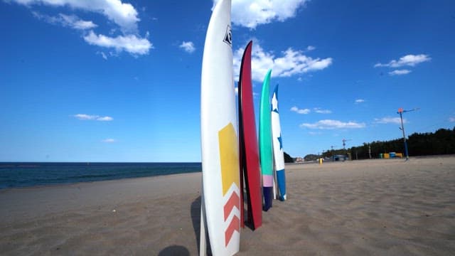 Surfboards standing in the sand on a sunny beach with blue skies and scattered clouds.