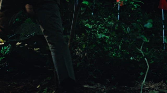 숲에 설치된 지뢰를 발견한 사람