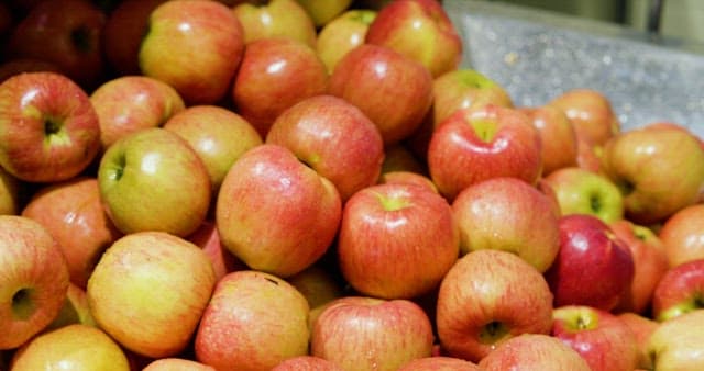 Fresh Apples Gleaming in Market Display