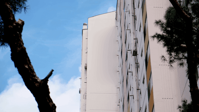 소나무와 푸른 하늘이 있는 높은 아파트