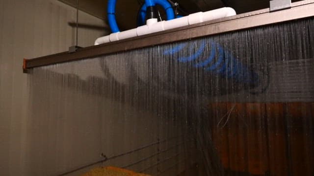 콩나물 발아를 위해 물이 뿌려지는 산업 재배시설