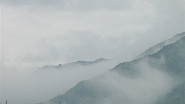 Misty Mountainside in Tranquil Morning