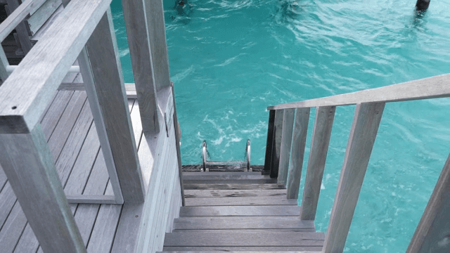 맑은 푸른 물로 이어지는 나무 계단