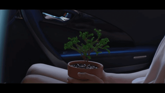 차 안에서 화분을 들고 있는 사람