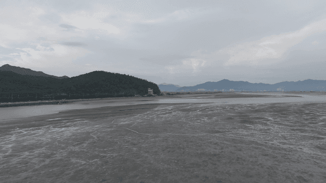 Wide mudflat with mountains visible in distance.