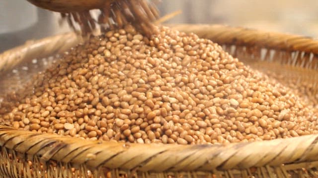 Transferring well-boiled soybeans into a wooden basket