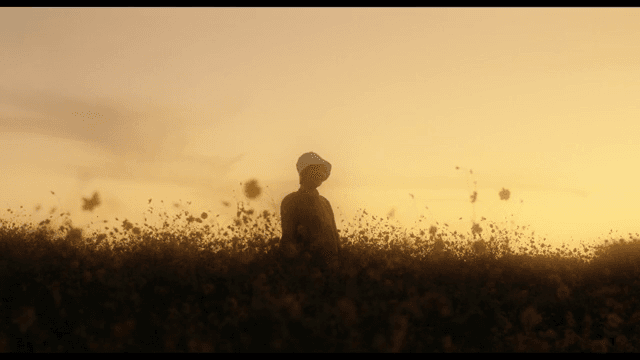 해질녘 꽃밭에 서 있는 노인