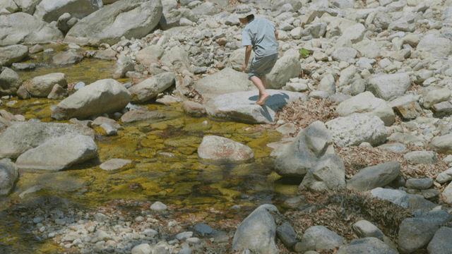 얕은 개울을 올라가는 아이