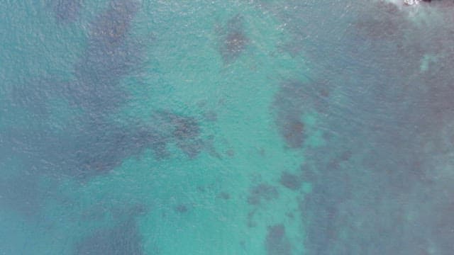 Clear turquoise sea with rocky shore