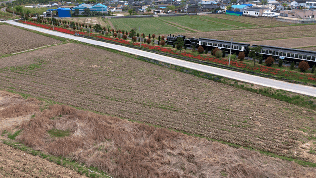 Train passing through rural farmland