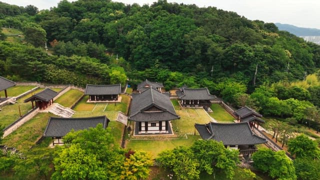 Traditional hanok village surrounded by lush trees