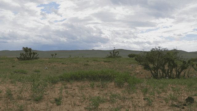 구름 낀 하늘 아래 넓은 들판