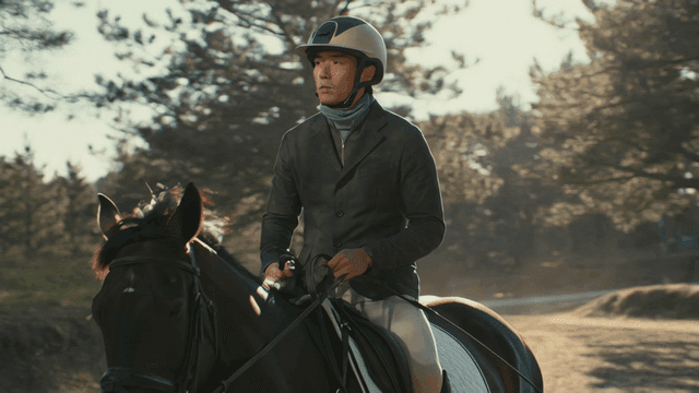 Horse rider in forest