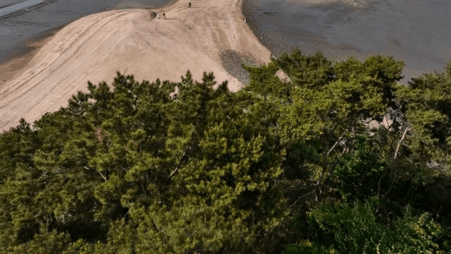 푸른 나무들이 있는 작은 섬의 항공 뷰