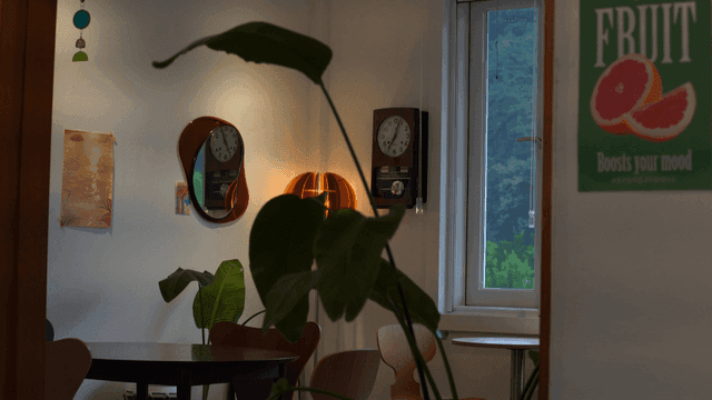 큰 식물 화분과 나무 의자들이 있는 아늑한 카페